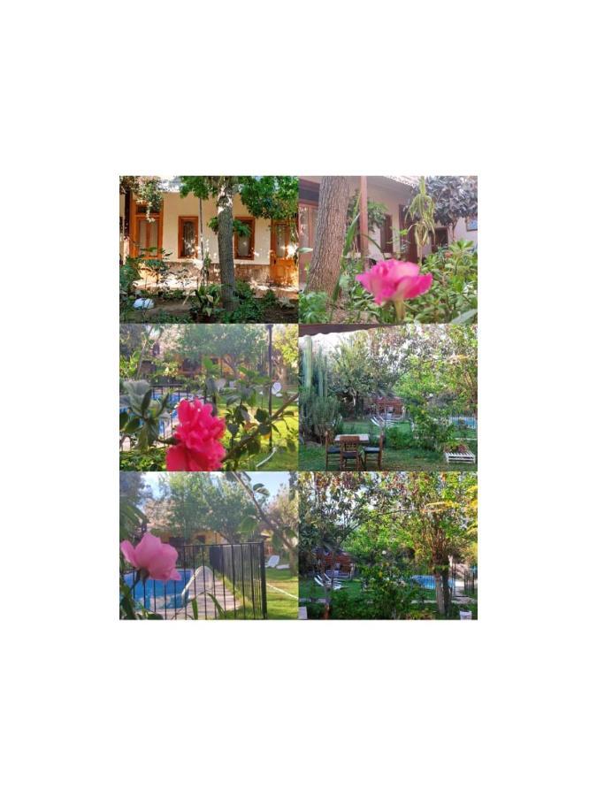 Bed & Breakfast Halley 3*